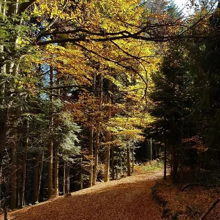 Podbucznik 2 Mosorny Targoszow